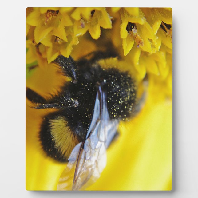 Cool big bumblebee plaque (Front)