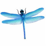 Cool Blue Dragonfly Ornament Photo Sculpture Decoration<br><div class="desc">Original fine art design of a blue dragonfly by designer Carolyn McFann of Two Purring Cats Studio on a quality holiday ornament. 
 
 See a few of our products below (click to go to that product) and visit our very artistic stores at:</div>