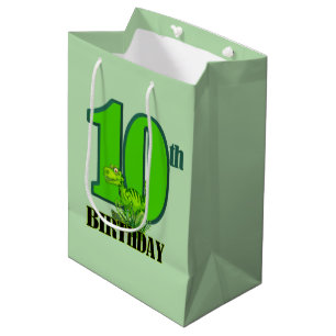 Cool boys dinosaur party 10th medium gift bag