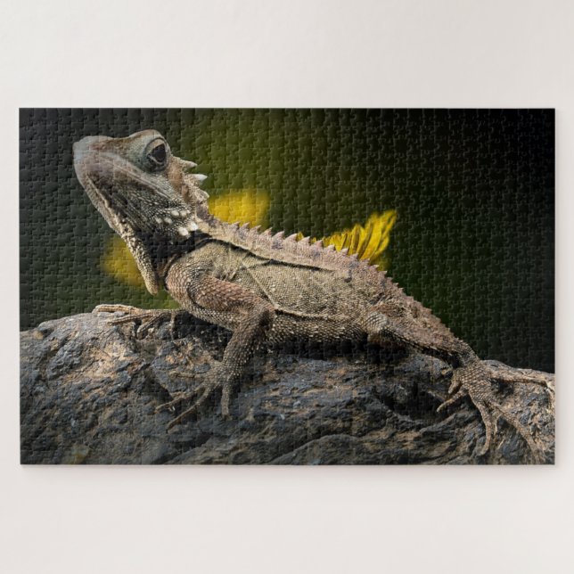 Cool brown lizard jigsaw puzzle (Horizontal)
