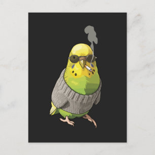 Cool Budgie in Grey Sweater and Sunglasses Illustr Postcard