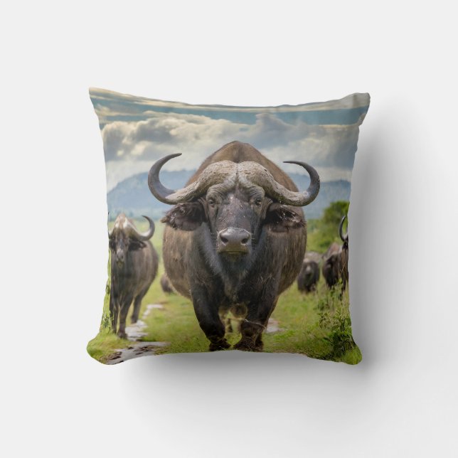 Cool Buffalo Pillow! Cushion (Front)