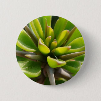 Cool Cactus 6 Cm Round Badge