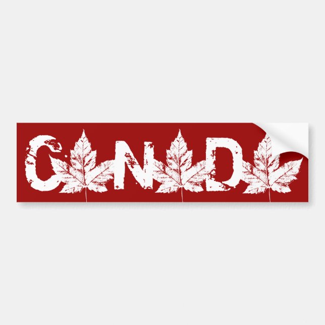 Cool Canada Bumper Sticker Distressed Maple Leaf (Front)