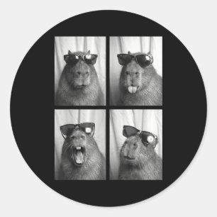 Cool Capybara With Sungles Photobooth Funny Rodent Classic Round Sticker