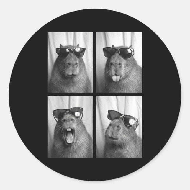 Cool Capybara With Sungles Photobooth Funny Rodent Classic Round Sticker (Front)