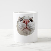 Cool Cat Ball Face Cute Funny Meme