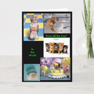Cool Cat Card