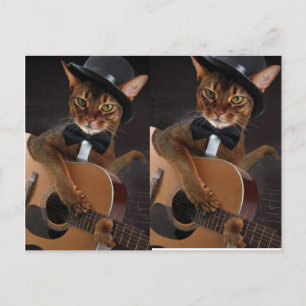 Cool Cat Guitarist Postcard