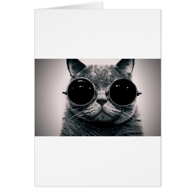 cool cat kool kat with shades (Front)