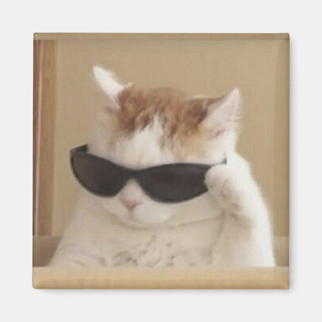 Cool cat meme magnet (Front)