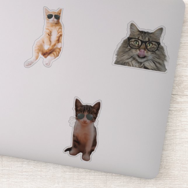 Cool Cat Memes (Detail)