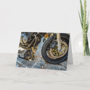 Cool cat motorcycle funny greeting card