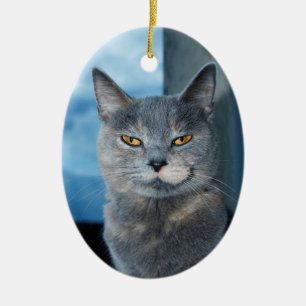 cool cat porcelain ornament