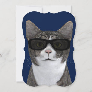Cool Cat With Black Sunglasses