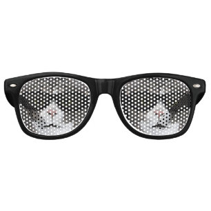 Cool Cat With Black Sunglasses