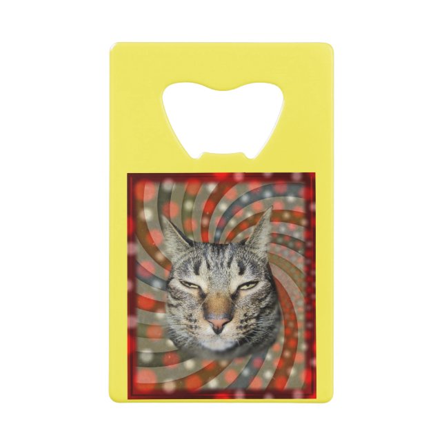 Cool Cat – YOU CAPTION Your Gift! (Front)