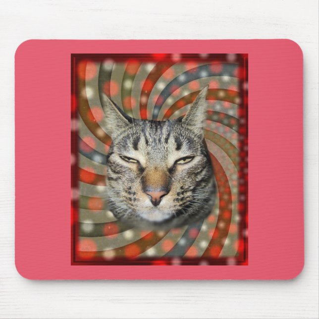 Cool Cat – YOU CAPTION Your Gift! Mouse Pad (Front)