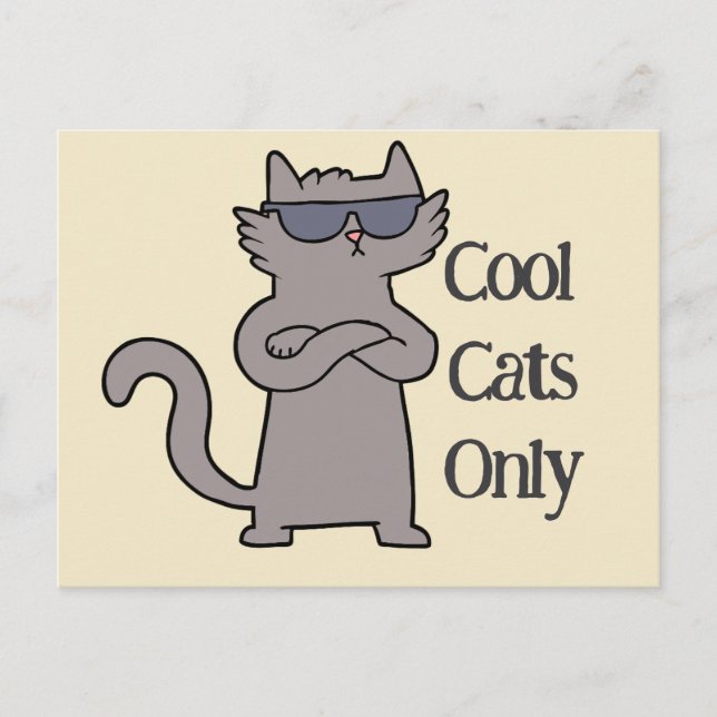 Cool Cats Only Event Invitation Card (Front)