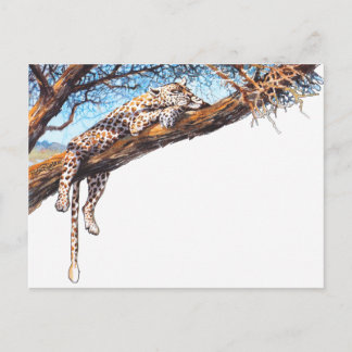 Cool cheetah postcard