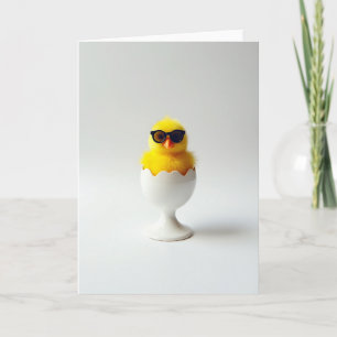 Cool Chick Hatching Day Card