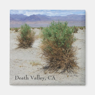 Cool Death Valley Magnet! Magnet