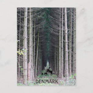 Cool Denmark Witch Postcard! Postcard