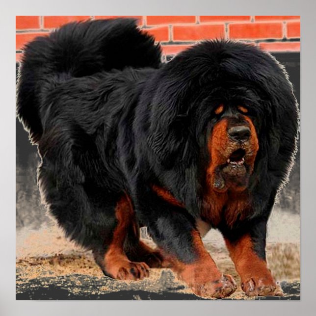 Cool Dog Lover Tibetan Mastiff Poster (Front)