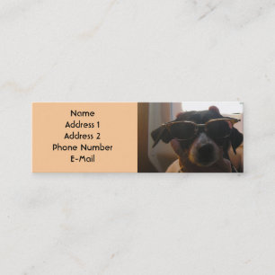 COOL DOG PROFILE CARD