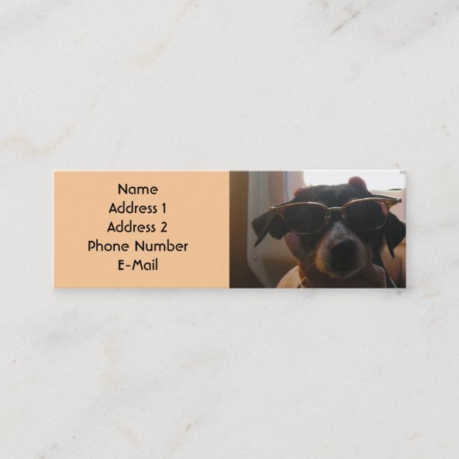 COOL DOG PROFILE CARD (Front)