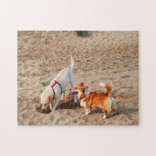 cool dogs on beach jigsaw puzzle
