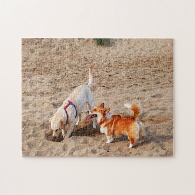 cool dogs on beach jigsaw puzzle (Horizontal)