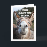 **COOL DONKEY SAYS "HAPPY BIRTHDAY" SISTER CARD<br><div class="desc">THIS DONKEY IS SO READY TO SAY "HAPPY  BIRTHDAY" FOR YOU TO THE PERSON IN YOUR LIFE THAT YOU HOLD SO VERY SPECIAL IN YOUR HEART ALL YEAR LONG!  THANKS FOR STOPPING BY ONE OF MY EIGHT STORES!</div>