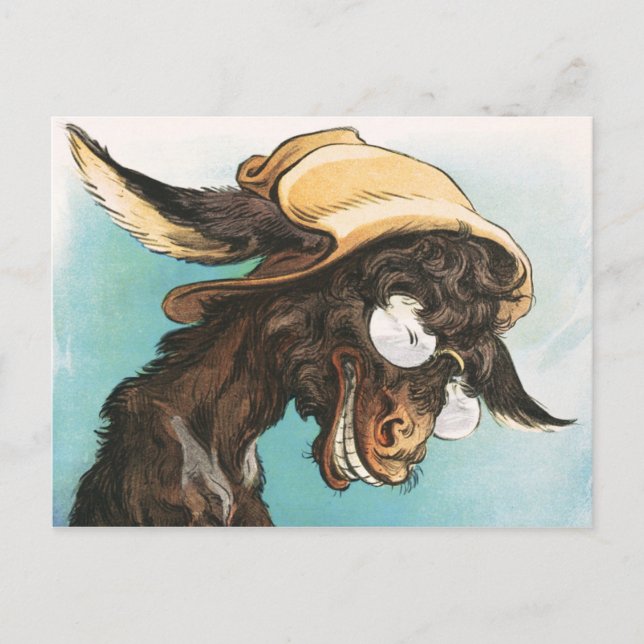 Cool donkey wearing glasses and hat postcard (Front)