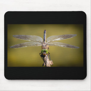 Cool Dragonfly Mouse Pad