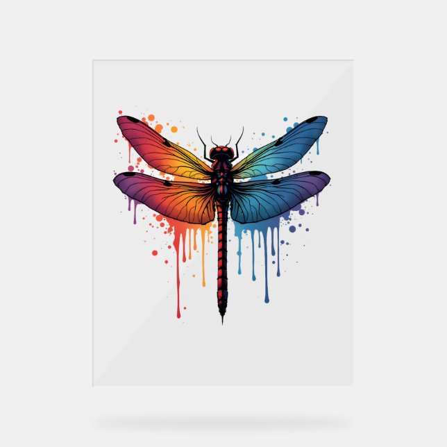Cool Dragonfly on colourful painted Dragonfly Acrylic Sign (Front)