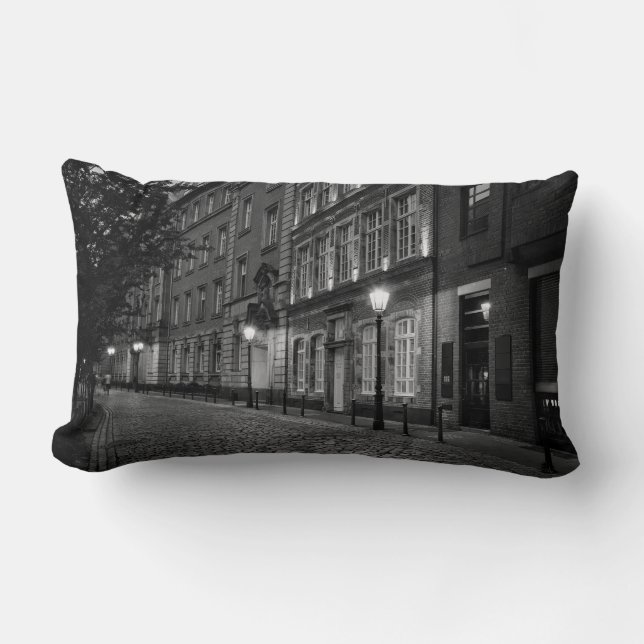 Cool European German Architectural Style Lumbar Cushion (Front)
