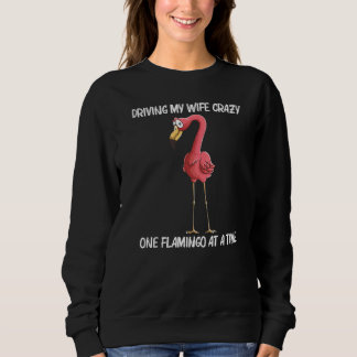 Cool Flamingo For Men Dad Ladies Pink Flamingos Bi Sweatshirt