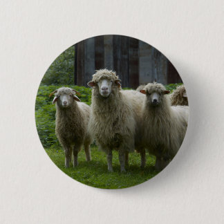 Cool Flock of Sheep | Farmland 6 Cm Round Badge