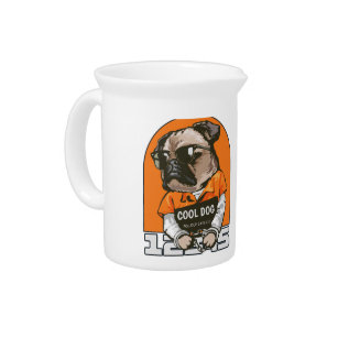 Cool French bull dog    Pitcher