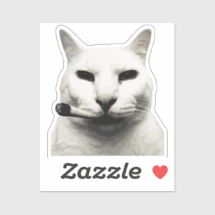 Cool Funny Cat Meme Smoking Cat cigarette