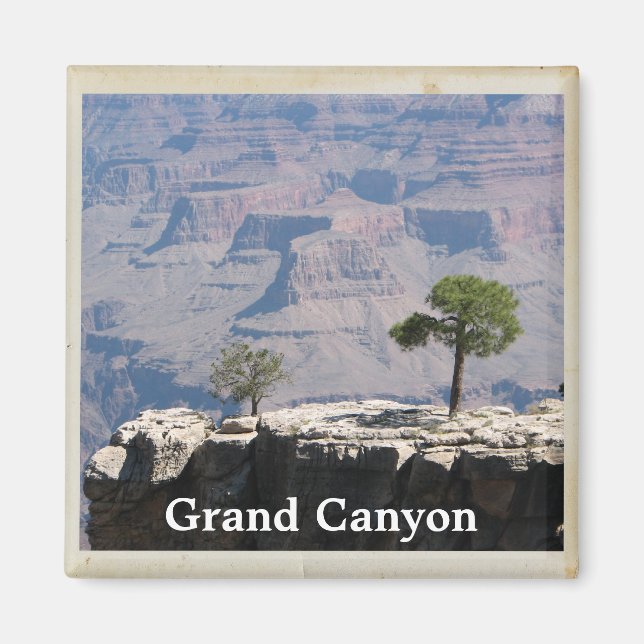 Cool Grand Canyon Magnet! Magnet (Front)