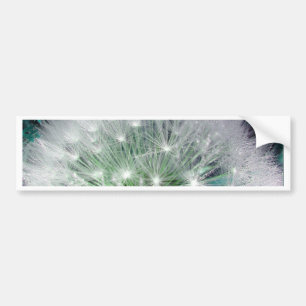 Cool green and white dandelion with waterdrops bumper sticker