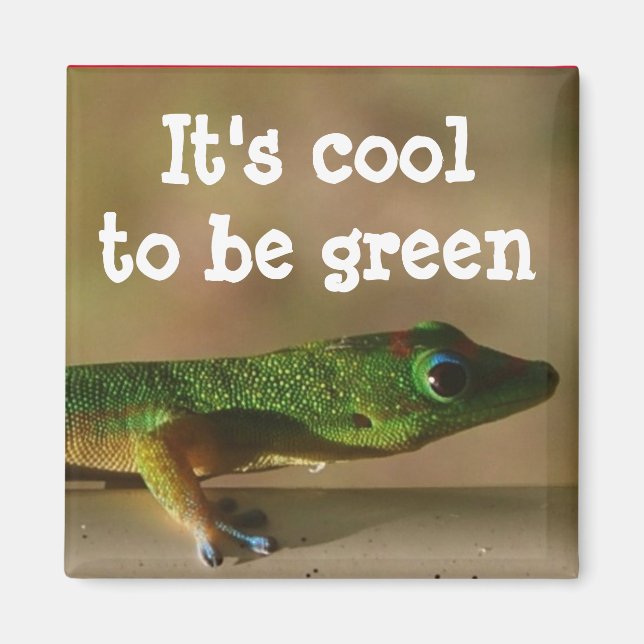 Cool Green Gecko Magnet (Front)