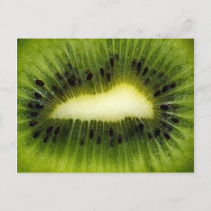 Cool Green Kiwi Fruit Postcard