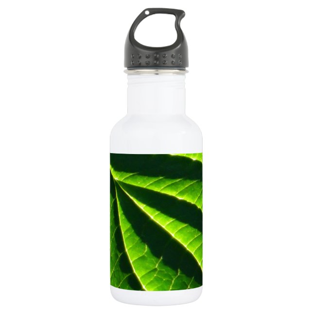 Cool green leaf 532 ml water bottle (Front)