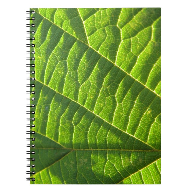 Cool green leaf print spiral notebook (Front)