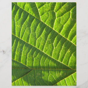 Cool green leafprint