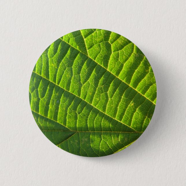 Cool green leafprint 6 cm round badge (Front)