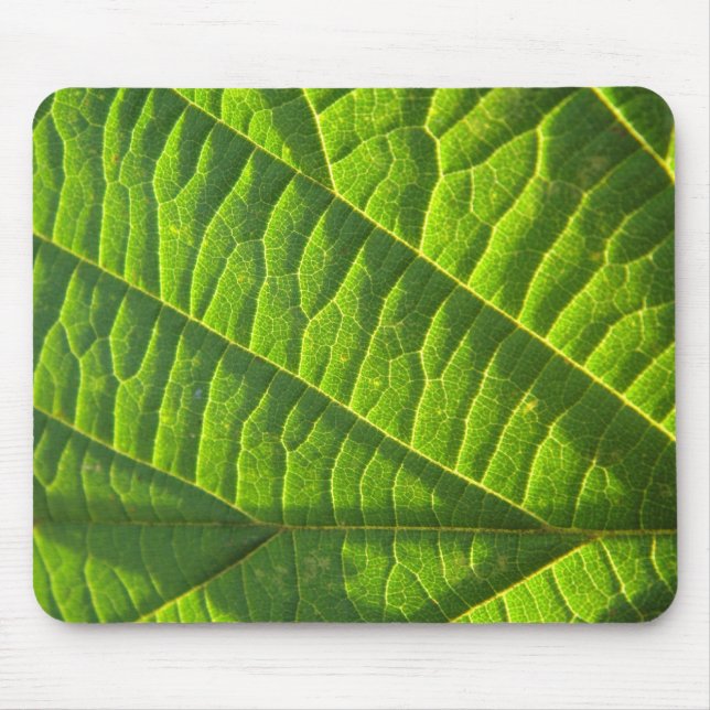 Cool green leafprint mouse pad (Front)